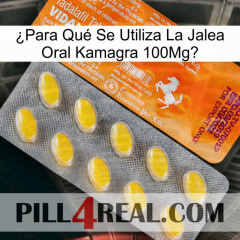 ¿Para Qué Se Utiliza La Jalea Oral Kamagra 100Mg new05